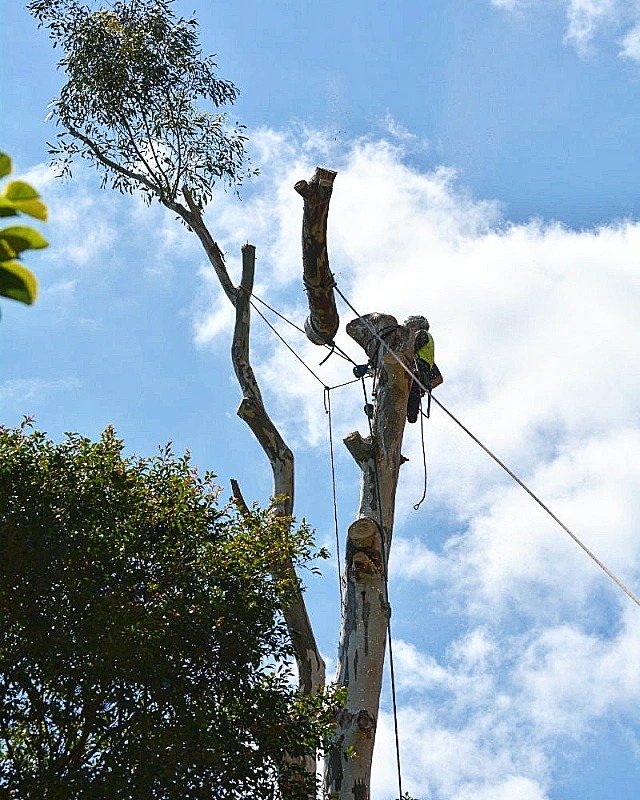 Karter SV Contracting Ltd business photo 3