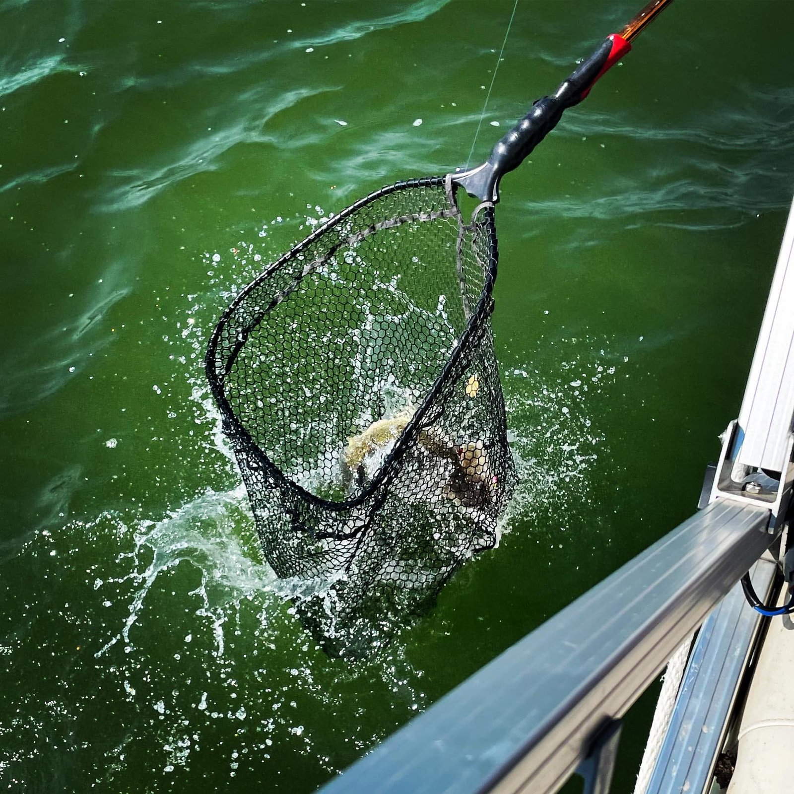 Lake Fishing Charters