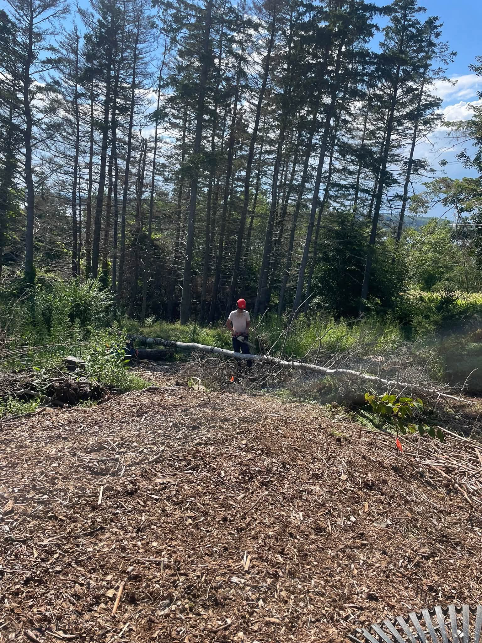 Retaining wall and hardscape construction