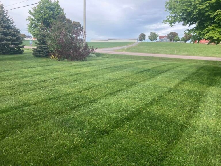 Smith Bros Lawn Care